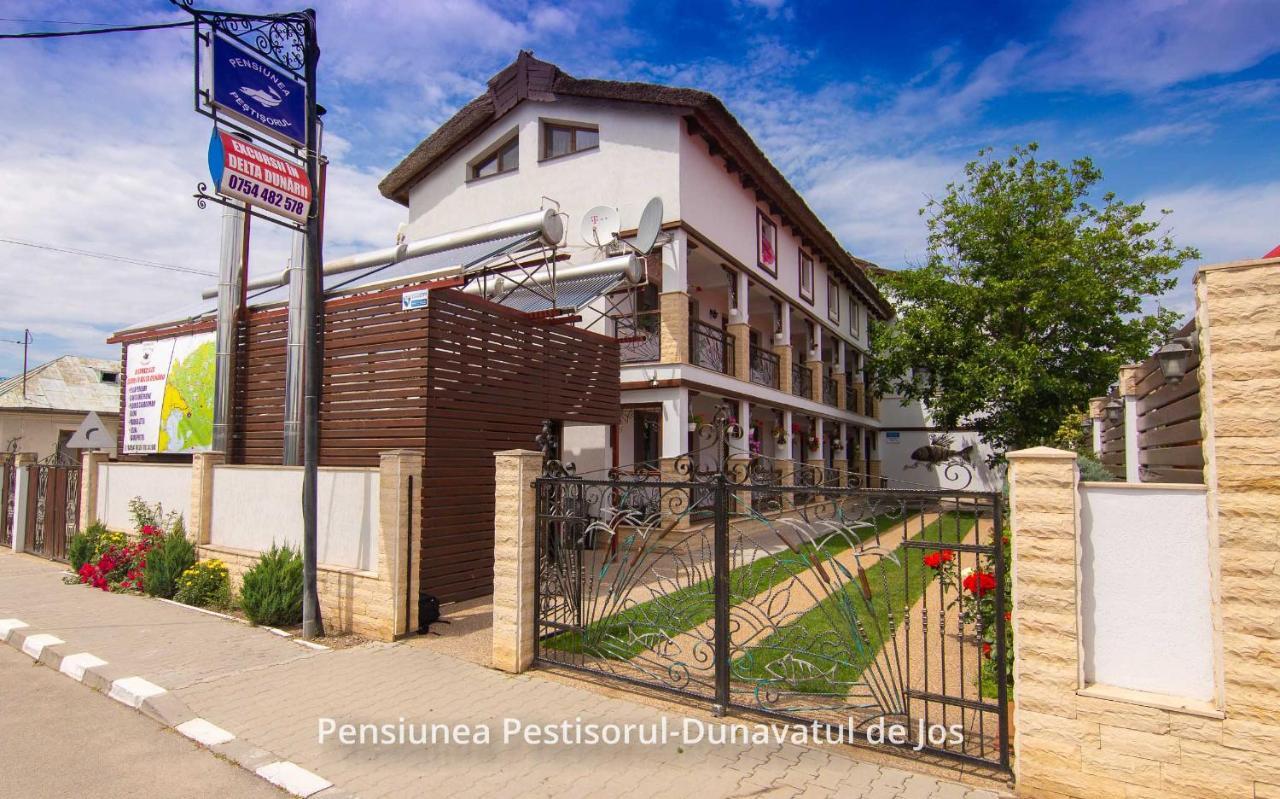 Pensiunea Pestisorul Dunavăţu de Jos Buitenkant foto