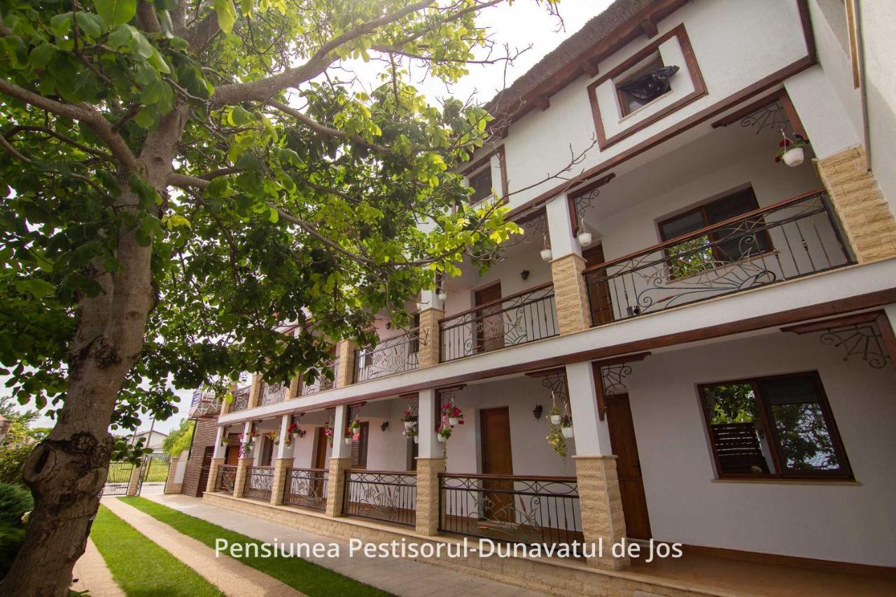 Pensiunea Pestisorul Dunavăţu de Jos Buitenkant foto