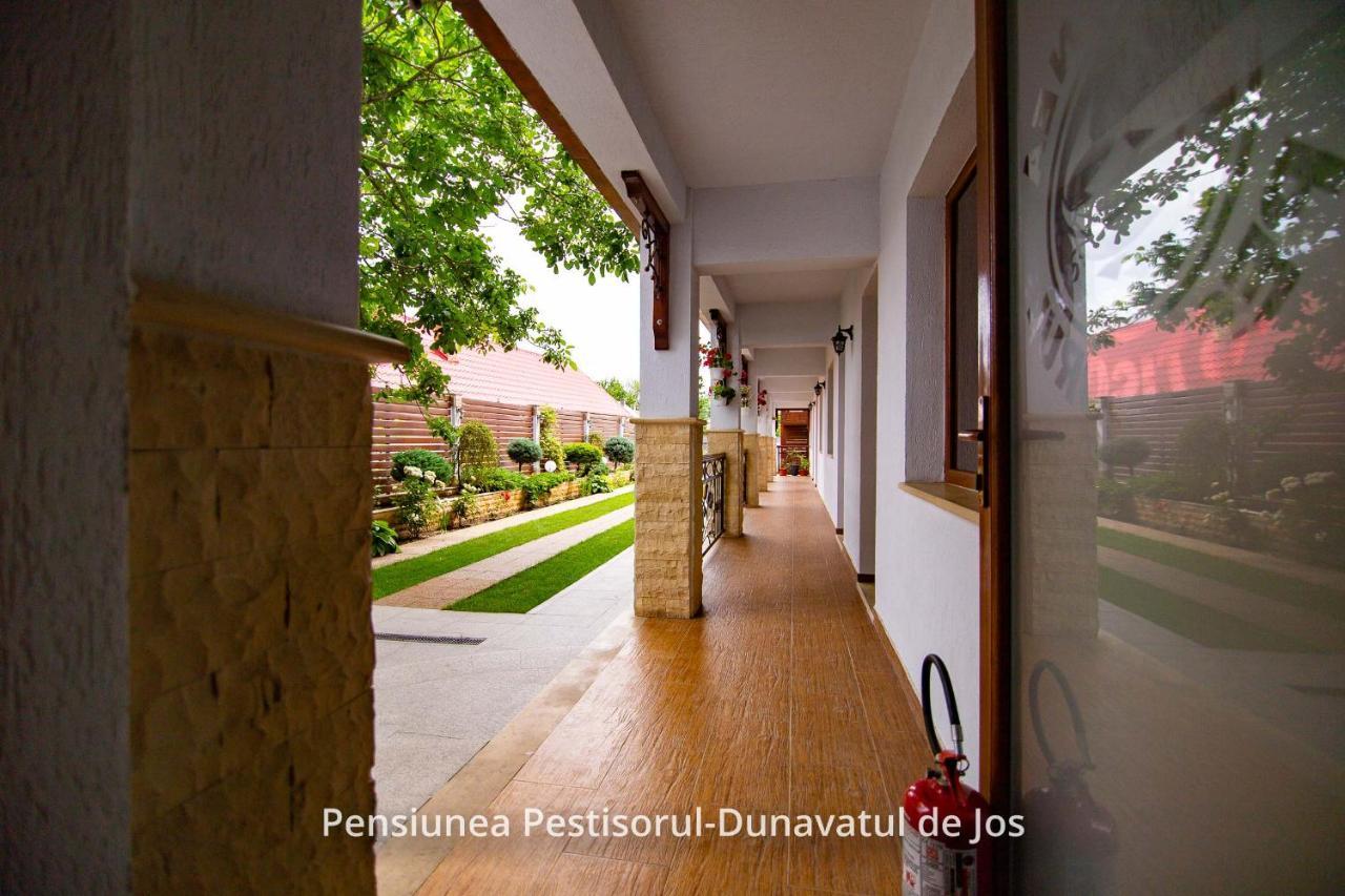 Pensiunea Pestisorul Dunavăţu de Jos Buitenkant foto