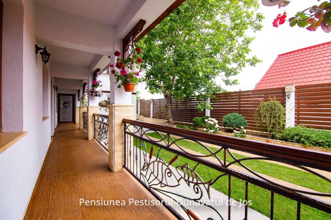 Pensiunea Pestisorul Dunavăţu de Jos Buitenkant foto